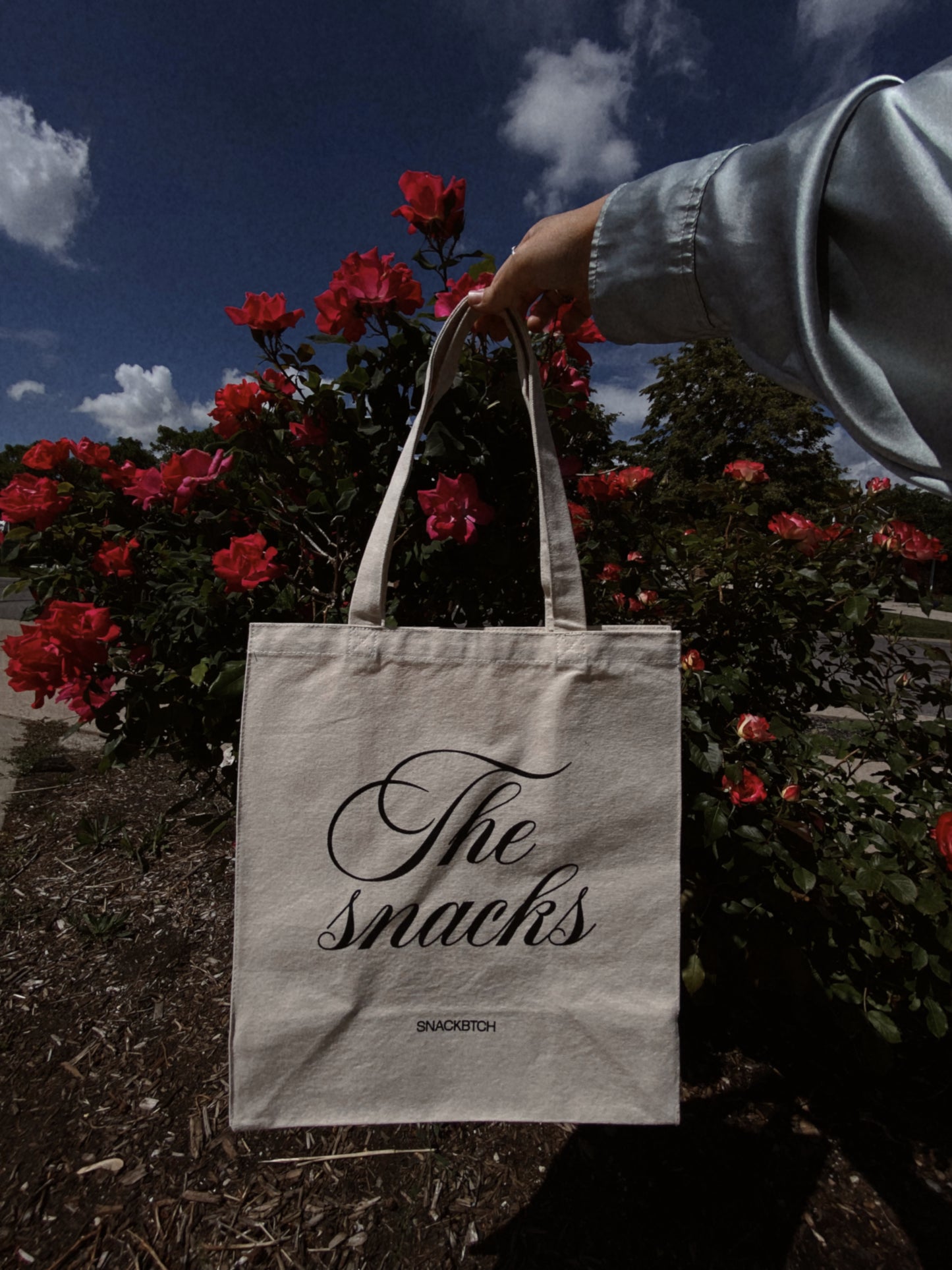 The Snacks Bag